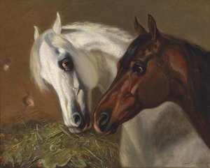 Twee paardenhoofden door Emil Volkers