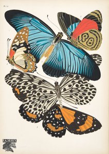 Plaat 11, uit Papillons, pub. 1925