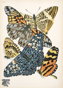 Plaat 3, uit Papillons, pub. 1925