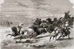 Argentijnse gaucho