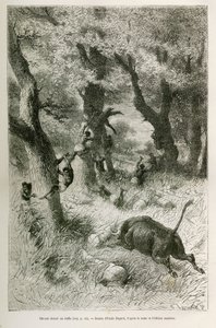 Ontsnapping van de expeditie voor de aanval van een buffel, tekening door Emile Bayard, ter illustratie van het verhaal: Dwars door Afrika, van Zanzibar (Tanzania) naar Benguela (Angola), van 1872 tot 1876, door luitenant V.H. Cameron. Gravure in Le tour d door Emile Antoine Bayard