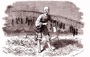 Ratdoder in China. 1874 (gravure)