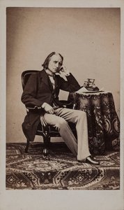 Portret van de componist Franz Liszt 1811-1886 door Emile Desmaisons
