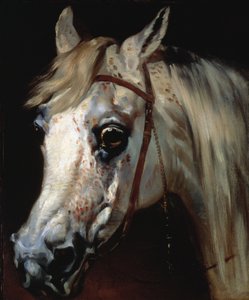 Hoofd van een Arabisch paard, ca. 1840-50