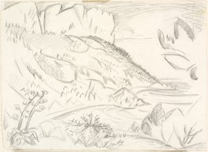 Cap Canaille bij Cassis door Emile Othon Friesz