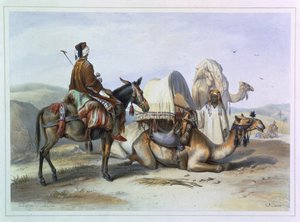 Kafila met een kameel die een hodesh draagt, illustratie uit 