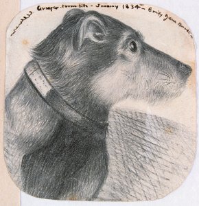 Grijper, uit het leven door Emily Bronte