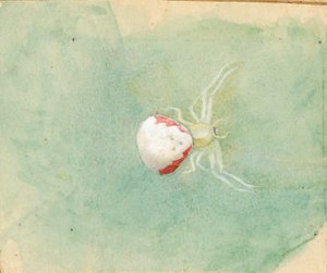 Porselein-Witte Spin door Emma Beach Thayer