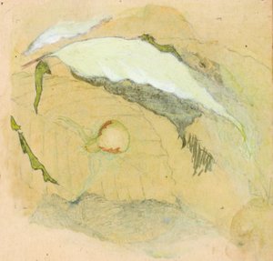 Porselein-Witte Spin