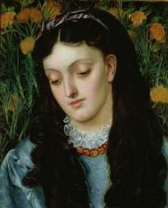 De mooie muurbloem