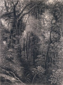 Uitzicht op de Kloof boven Apia, Upolu, West-Samoa, 1877 door Emma Sandys