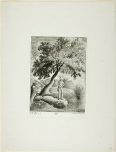 De Visser