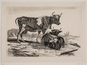 Twee koeien in een landschap