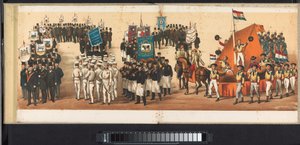 Optocht te Haarlem, 1872 (plaat 12) door Emrik and Binger