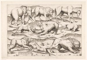 Negen wilde dieren door Enea Vico (attributed to)