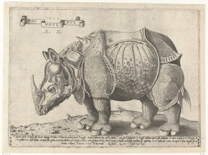 Neushoorn door Enea Vico