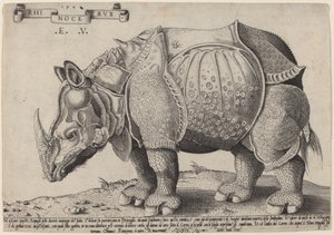 Neushoorn door Enea Vico after Albrecht Dürer