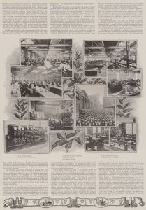 Een Britse Les