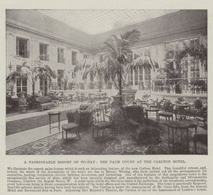 Een modieuze resort van vandaag, de Palm Court in het Carlton Hotel door English Photographer