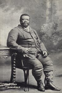 Cetshwayo kaMpande, Koning van de Zulu natie door English Photographer
