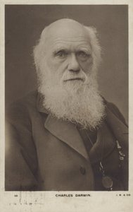 Charles Darwin (1809-1882), Engelse natuuronderzoeker
