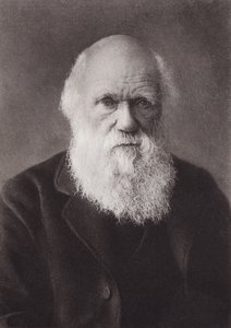 Charles Darwin, portret, ca. 1880