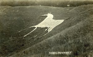 Cherhill Witte Paard door English Photographer