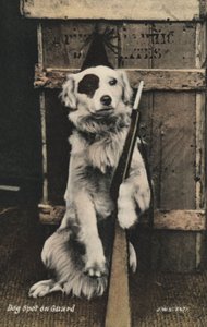 Hond met een geweer door English Photographer