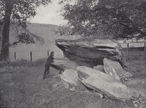 Druïdenaltaar, Cloyne door English Photographer