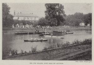 Eel Pie Island, net verkocht op Veiling