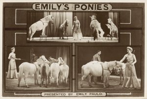 Emily Paulo en haar getrainde pony