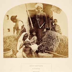 Gras Snijders, Hindoes, Madras, uit Het Volk van India, door J. Forbes Watson, gepubliceerd 1868 door English Photographer