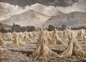 Oogst in Strathfillan onder Ben More en Stobinian door English Photographer