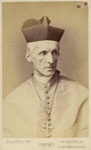 Henry Edward Manning door English Photographer