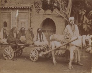 Paardenkar, Caïro, 1893