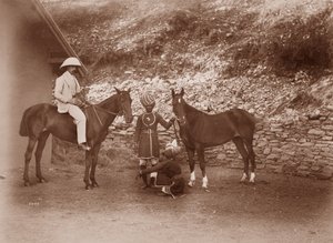 Paarden in Simla, Queen Mab en Gladys