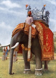 India: Kleur  magie (kleurenfoto)