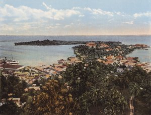 Kingston, Jamaica: Vogelvlucht van Port Antonio door English Photographer