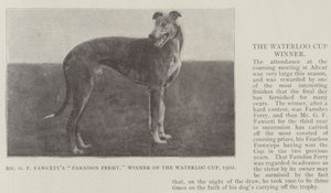 De heer G F Fawcetts Farndon Ferry, winnaar van de Waterloo Cup, 1902