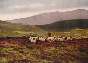 Op de Mountains of Mourne, County Down (kleurenfoto) door English Photographer