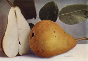 Peer, Durondeau (kleurenfoto)