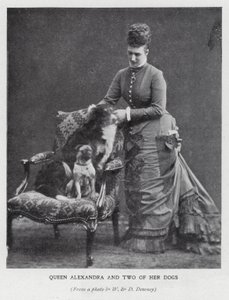 Koningin Alexandra en twee van haar honden door English Photographer