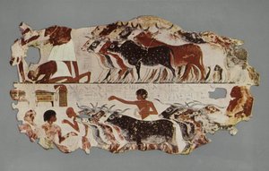 Scène die het drijven van een grote kudde vee voor inventarisatiedoeleinden op een Egyptische boerderij voorstelt