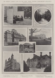 Sir Ernest Cassels gift aan de koning, enkele bestaande sanatoria voor tuberculose door English Photographer