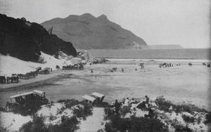 Zuid-Afrika: Houtbaai