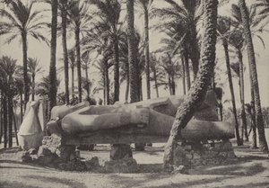 Standbeeld van Ramses II, liggend in de stad waarvan Jeremia zei dat ze zonder inwoners zou zijn door English Photographer