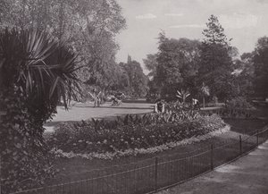 Subtropische Tuinen, Battersea Park