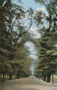 De Brede Wandelweg door English Photographer