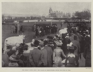 De Dublin Cattle Show, de parade van prijswinnaars voor de hertog van York door English Photographer