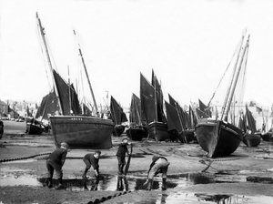De Vissersvloot in de Haven van St Ives, c.1880-99 door English Photographer